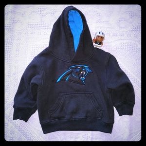 Carolina Panthers Hoodie